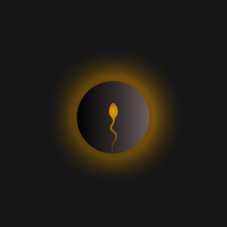 Fecondazione: lo sperma penetra nell'ovulo